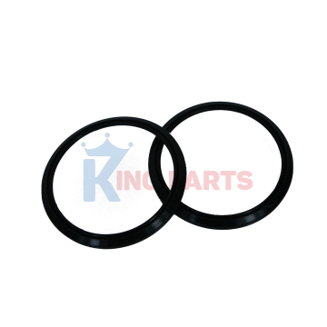 Ron cao su cửa Taylor 048926 