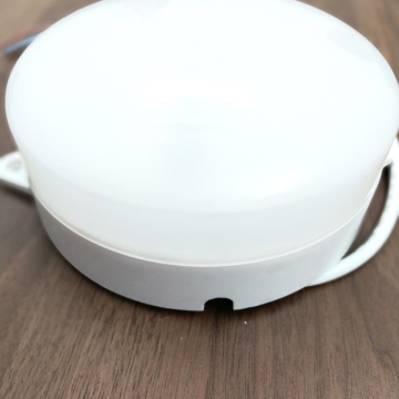 Bóng đèn LED Cold Room Light 15W